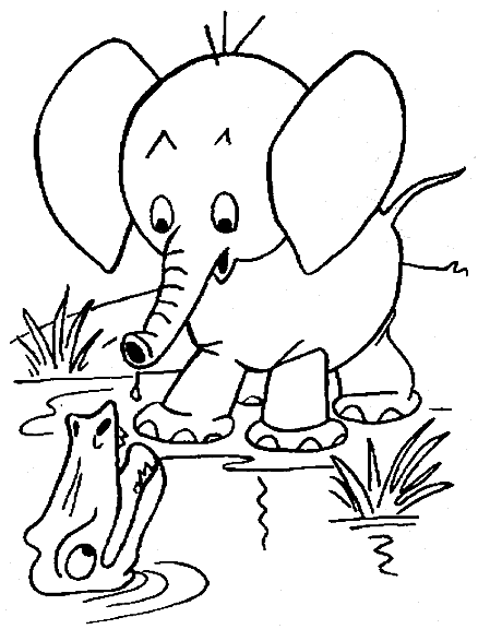 Coloriage 38 Elephants