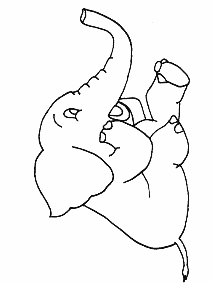 Coloriage 49 Elephants