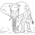 Coloriage Elephants 6