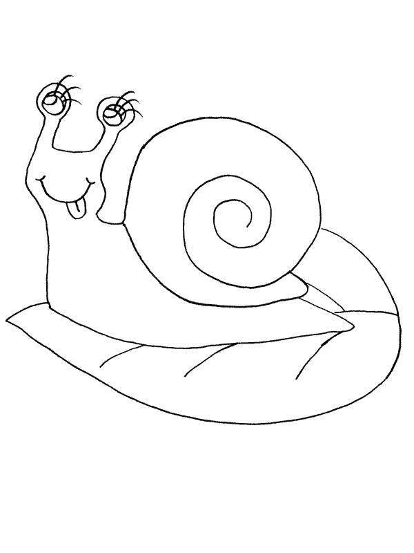 Coloriage 14 Escargots