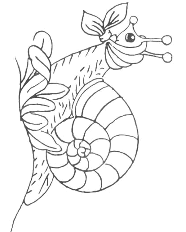 Coloriage 17 Escargots