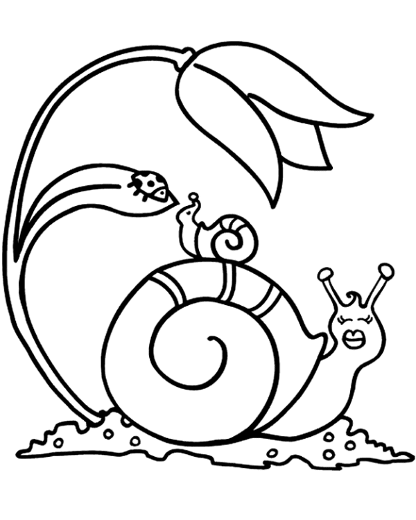 Coloriage 20 Escargots