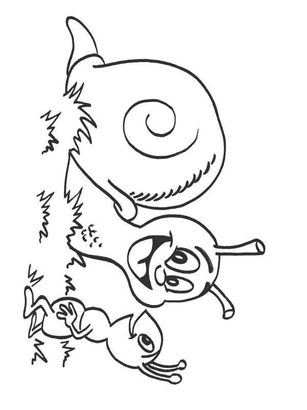 Coloriage 23 Escargots