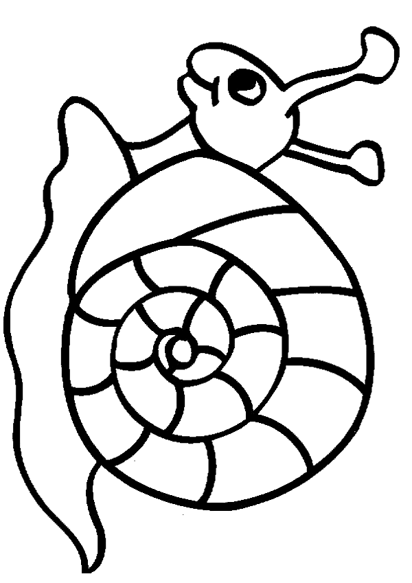 Coloriage 24 Escargots