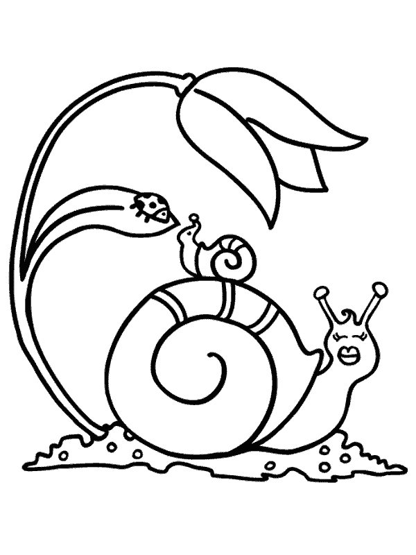 Coloriage 37 Escargots