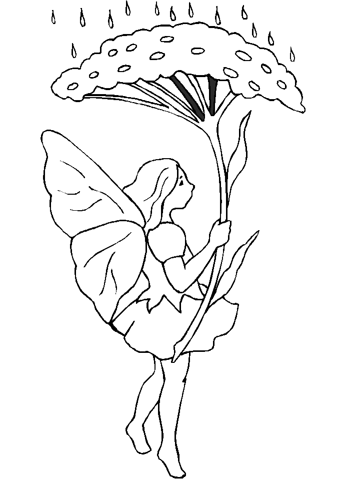 Coloriage 11 Fees