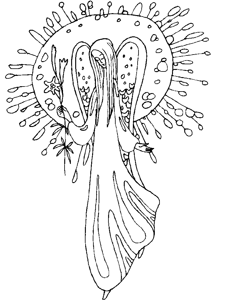 Coloriage 9 Fees