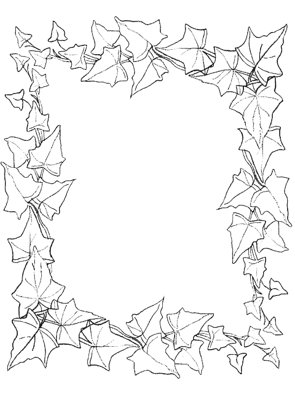 Coloriage 11 Feuilles