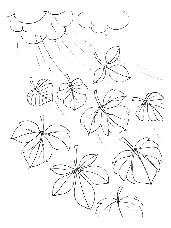 Coloriage 12 Feuilles