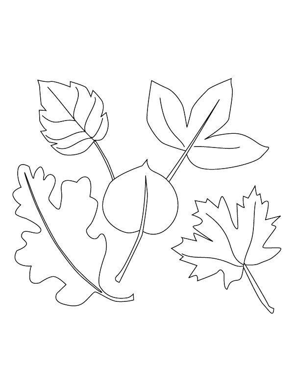 Coloriage 22 Feuilles