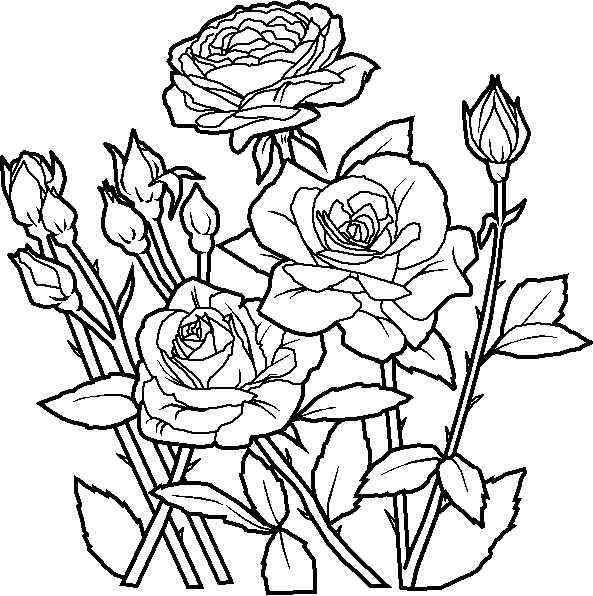 Coloriage 1 Fleurs