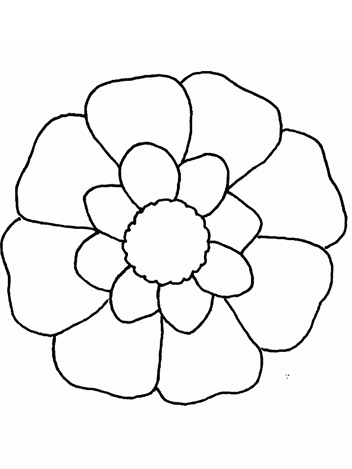 Coloriage 104 Fleurs