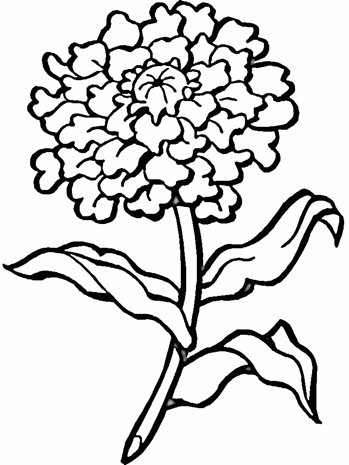 Coloriage 110 Fleurs