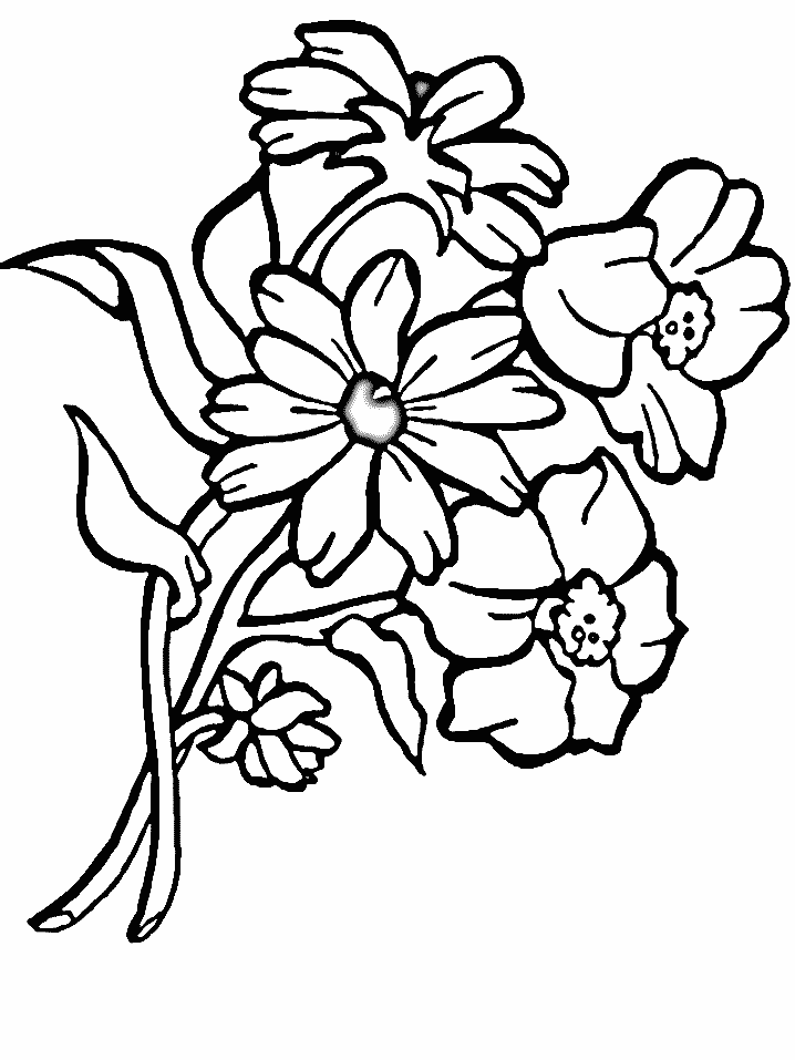 Coloriage 111 Fleurs