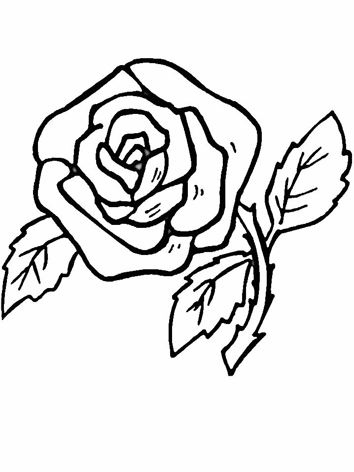 Coloriage 112 Fleurs