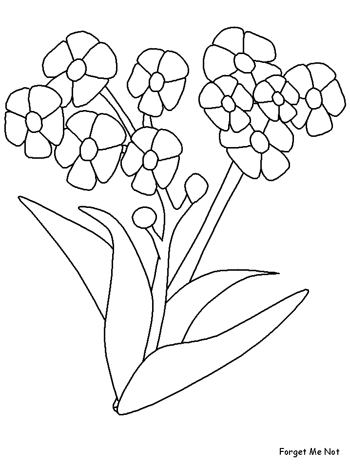 Coloriage 114 Fleurs