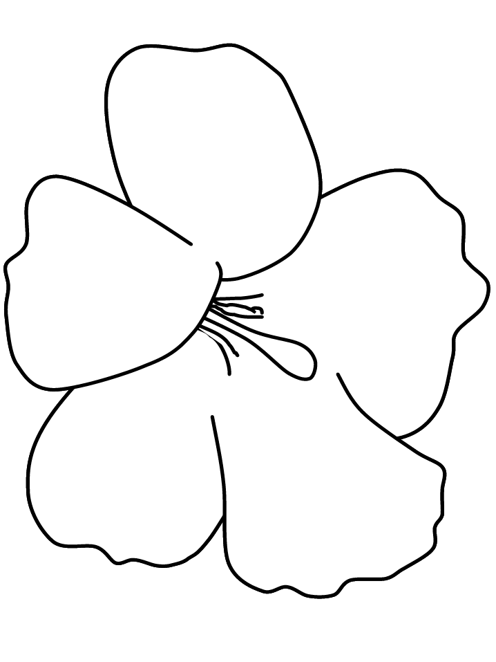 Coloriage 119 Fleurs