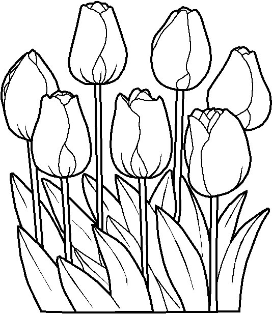 Coloriage 12 Fleurs