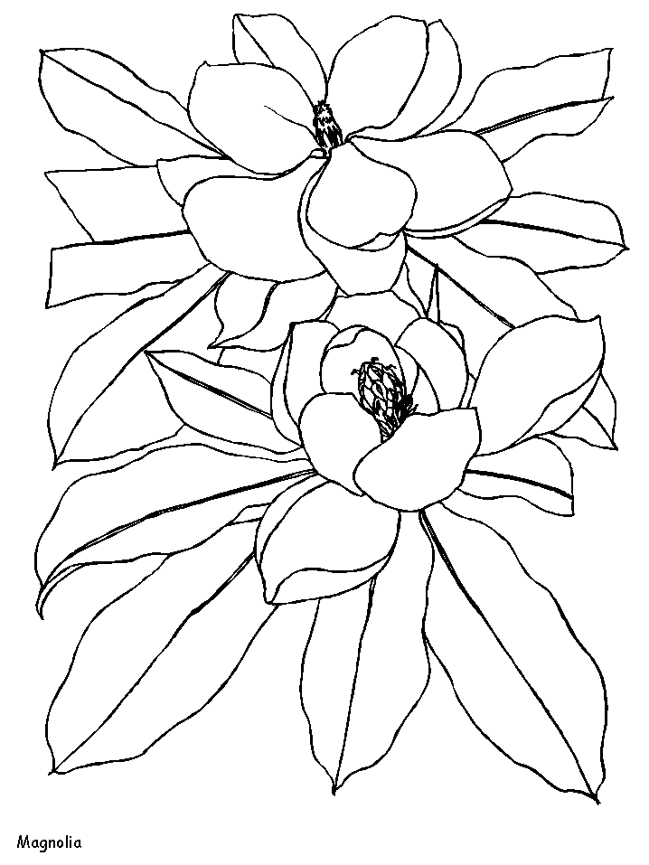 Coloriage 122 Fleurs