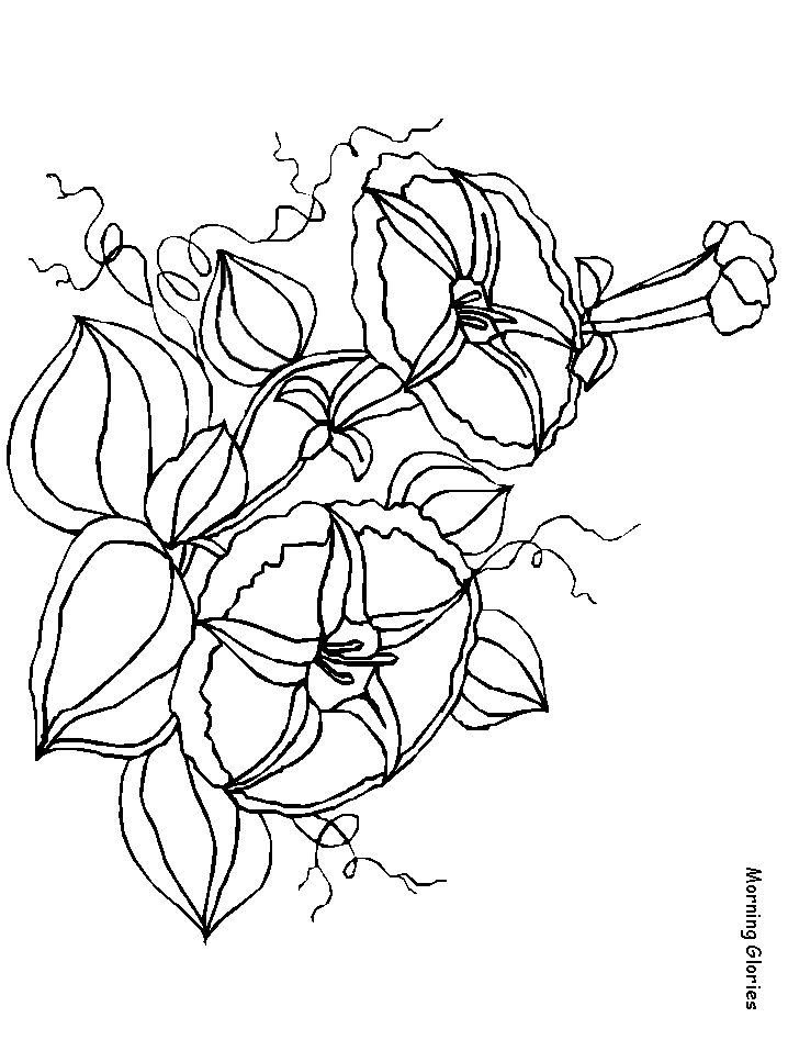 Coloriage 124 Fleurs