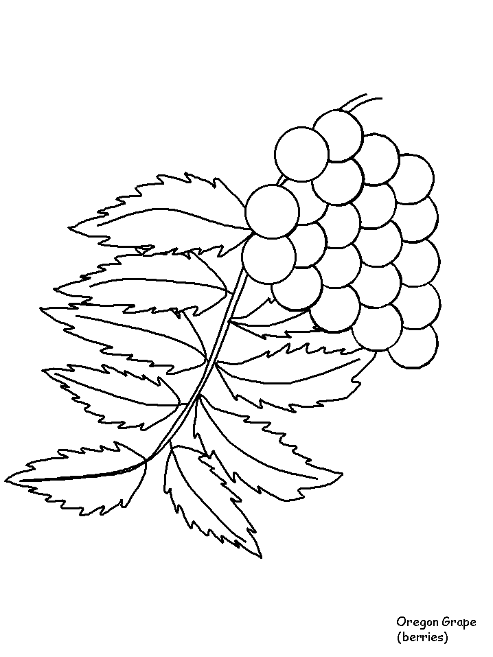 Coloriage 127 Fleurs