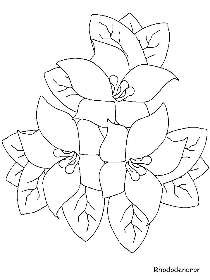 Coloriage 133 Fleurs