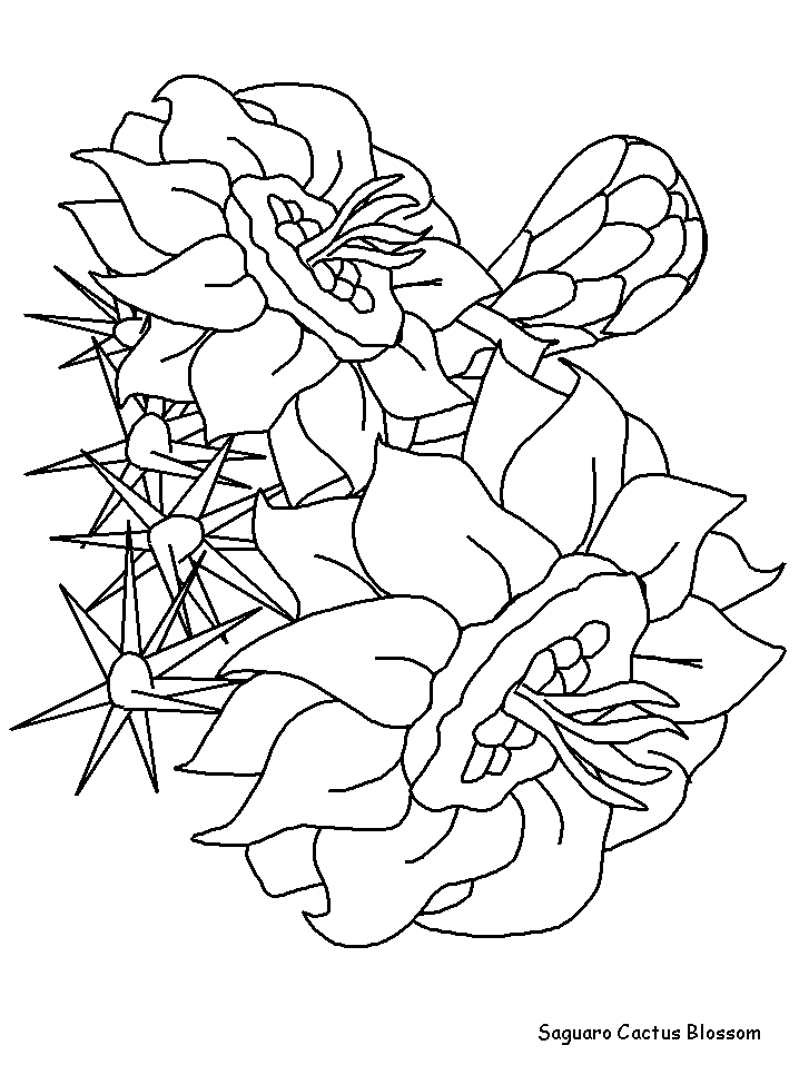 Coloriage 135 Fleurs