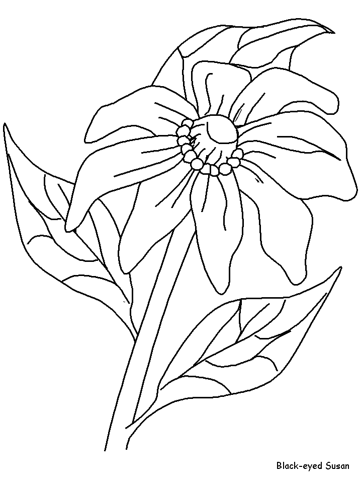 Coloriage 137 Fleurs