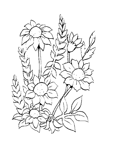 Coloriage 15 Fleurs