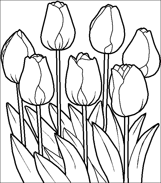 Coloriage 17 Fleurs