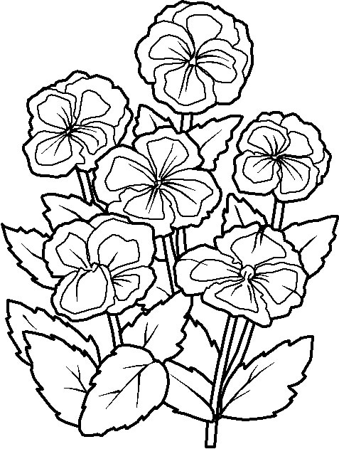 Coloriage 25 Fleurs