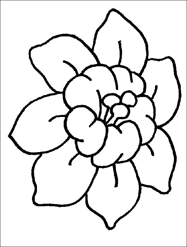 Coloriage 3 Fleurs