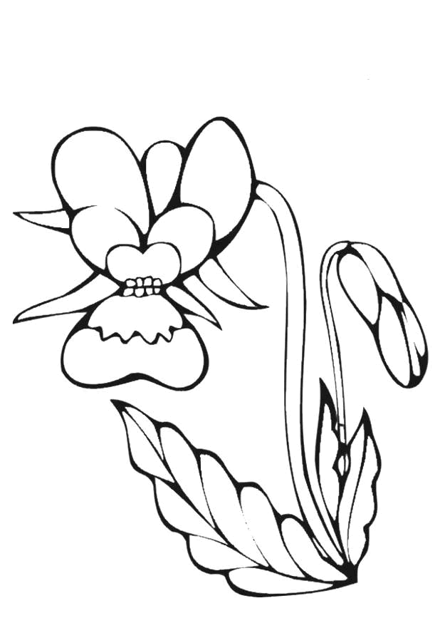 Coloriage 33 Fleurs