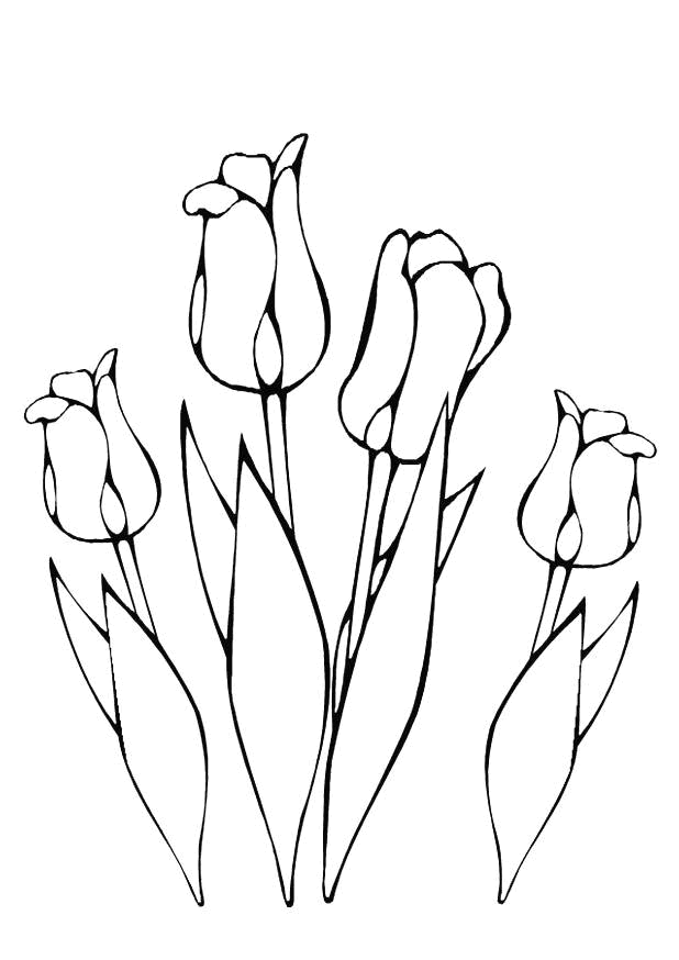 Coloriage 38 Fleurs