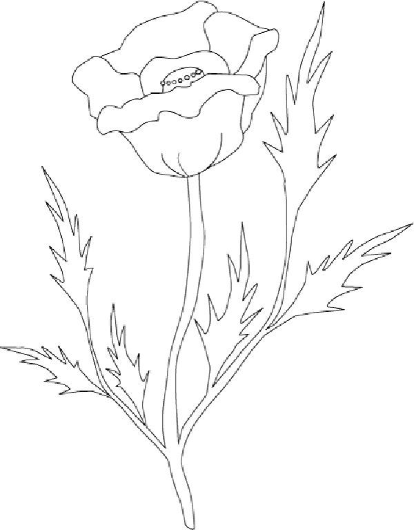 Coloriage 42 Fleurs