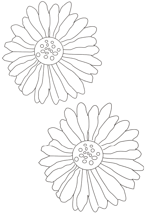 Coloriage 43 Fleurs