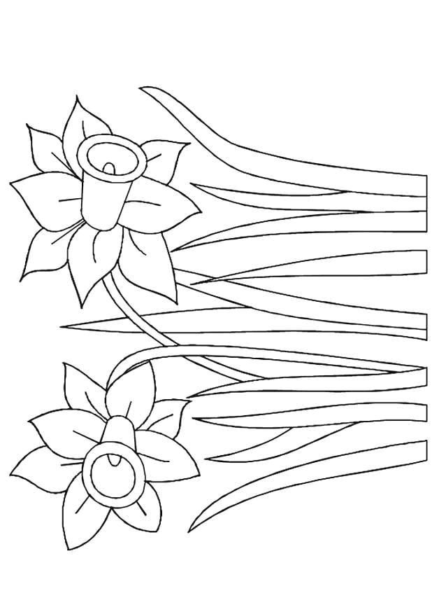 Coloriage 47 Fleurs