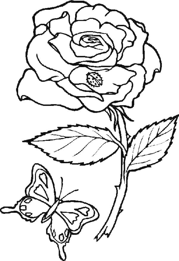 Coloriage 63 Fleurs