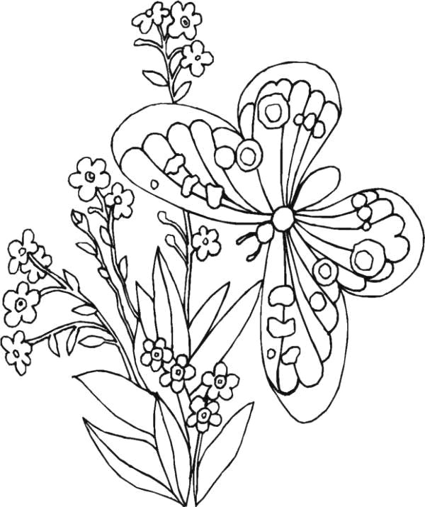 Coloriage 64 Fleurs