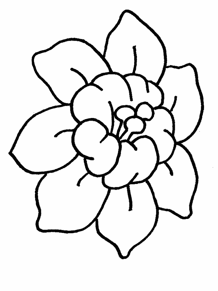 Coloriage 73 Fleurs