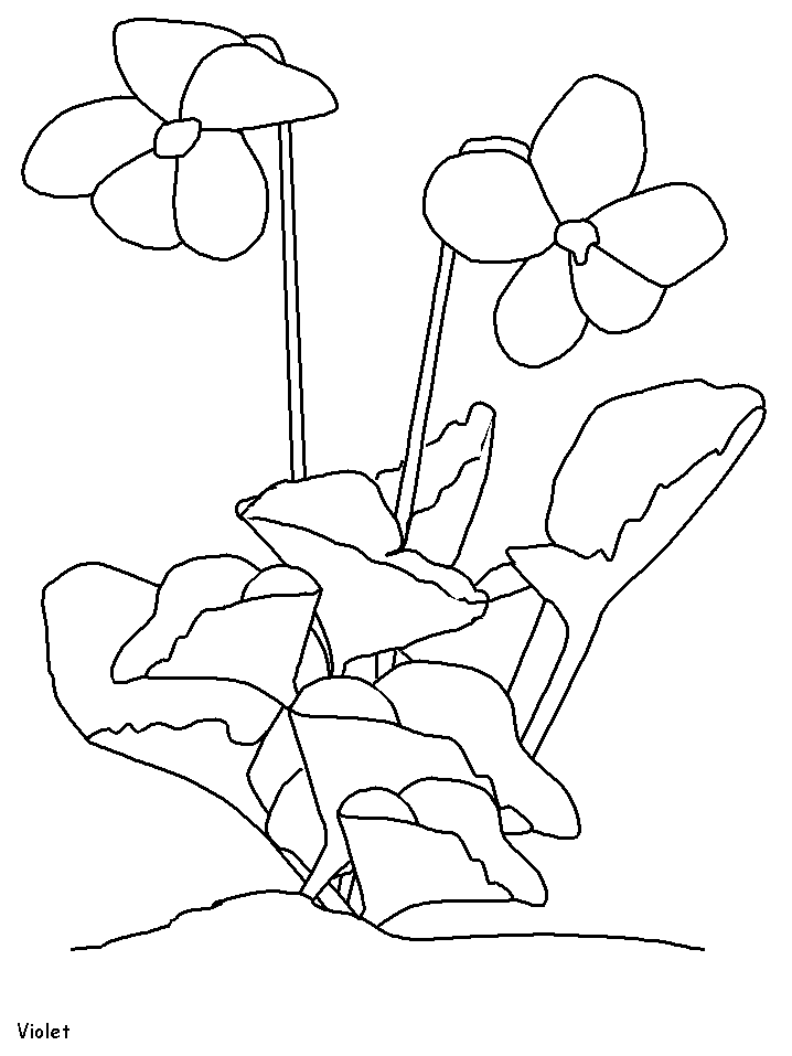 Coloriage 75 Fleurs