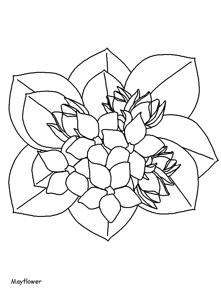 Coloriage 80 Fleurs