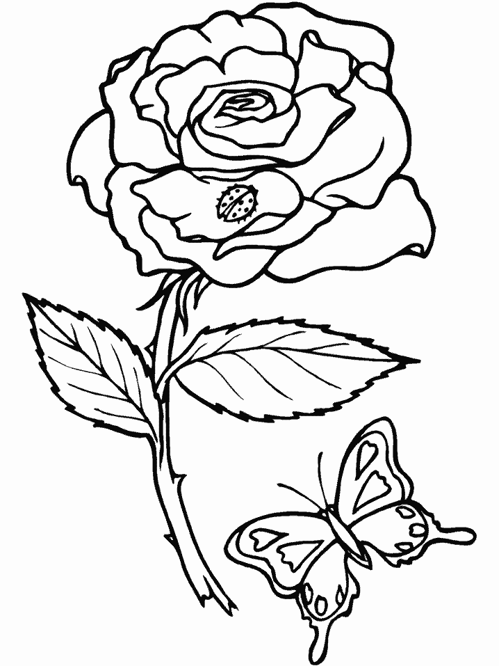 Coloriage 82 Fleurs