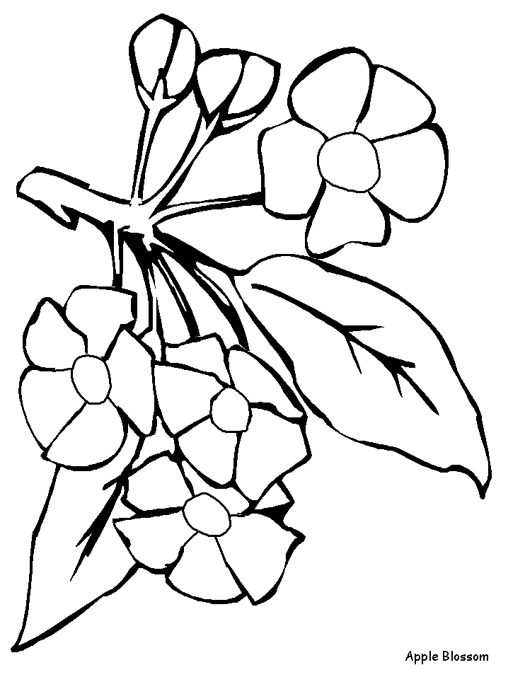 Coloriage 83 Fleurs