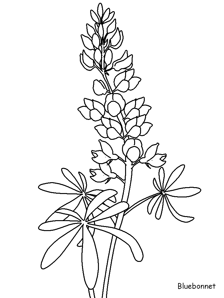 Coloriage 86 Fleurs