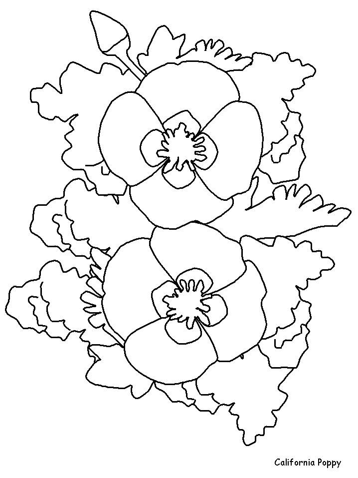 Coloriage 88 Fleurs