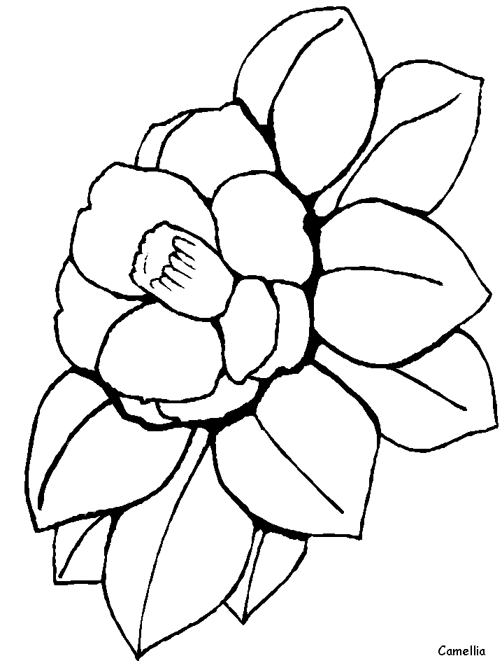 Coloriage 89 Fleurs