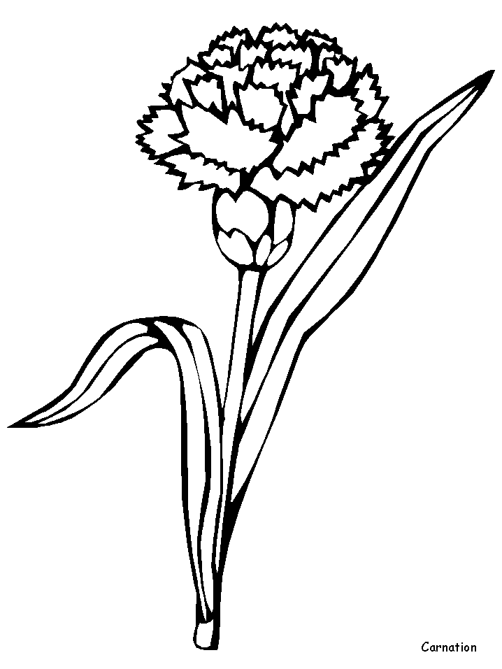 Coloriage 90 Fleurs