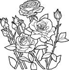 Coloriage Fleurs 1