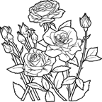 Coloriage Fleurs 69